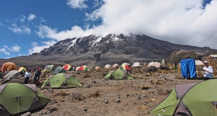 Camps au pied du mont Kilimandjaro.