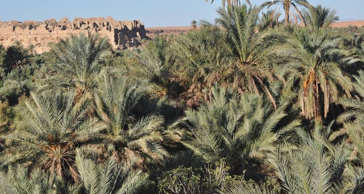 Morocco Berber Cultural Encounters - Morocco Discoveries 4