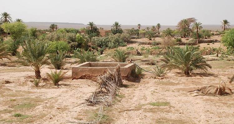 Descubre Mauritania, 6 días - Continent Tours 9