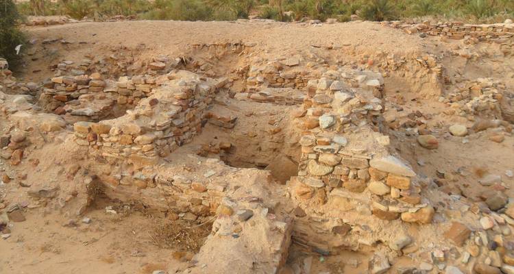 Explora Mauritania - 7 días - Continent Tours 4