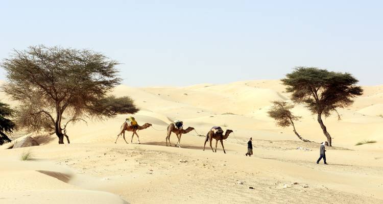 Explorez la Mauritanie - 8 jours - Continent Tours 3
