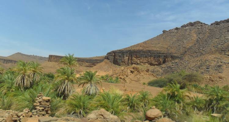Explorez la Mauritanie - 8 jours - Continent Tours 7