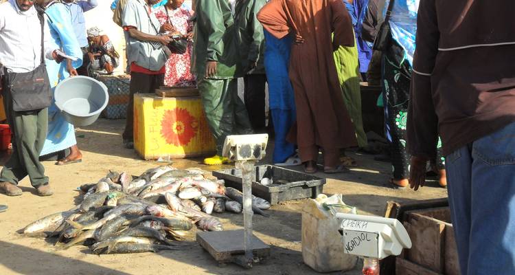 Explorez la Mauritanie - 8 jours - Continent Tours 10