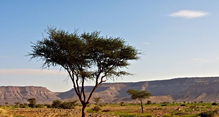 Explorez la Mauritanie - 8 jours - Continent Tours 1
