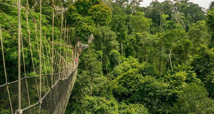 Intro to Ghana, 3 Days - Continent Tours 2