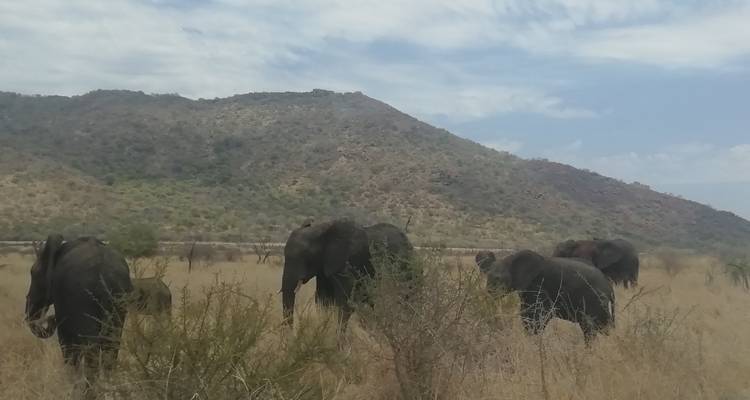 12 jours - Exploration de l'Afrique du Sud - Timeline Travel DMC 4
