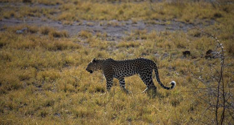8 Días | Parque Nacional Kruger y Ciudad del Cabo - Timeline Travel DMC 8