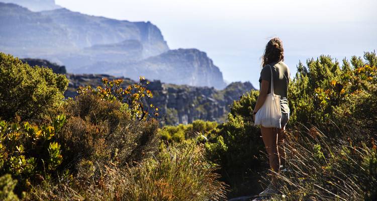 8 Day | Kruger National Park and Cape Town - Timeline Travel DMC 6