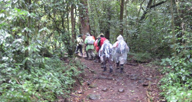 Kilimanjaro excursión corta de 4 días, excursión de 6 días - Nomadic Adventures 4