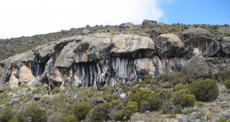 Kilimanjaro excursión corta de 4 días, excursión de 6 días - Nomadic Adventures 3