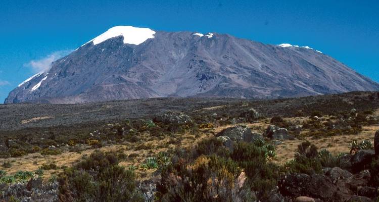 Kilimanjaro excursión corta de 4 días, excursión de 6 días - Nomadic Adventures 6