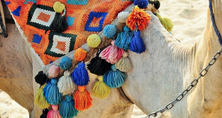 Kleurige kwastjes op een versierd kameelzadel.