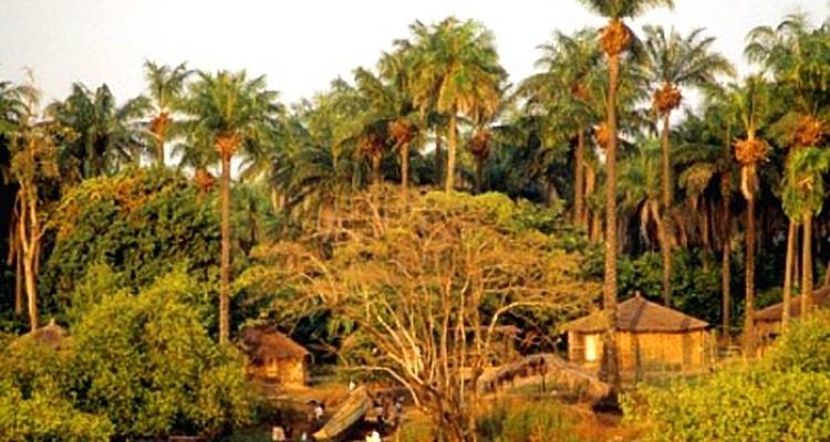 Descubre Guinea - Continent Tours 4