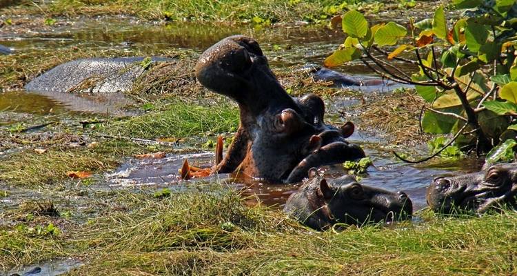 Descubre Guinea - Continent Tours 9