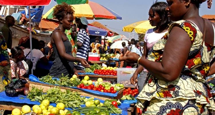 Descubre Guinea - Continent Tours 1