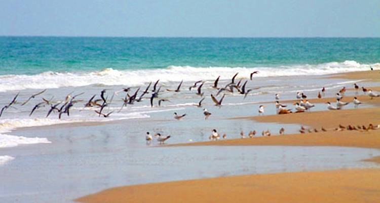 Aventure insulaire en Guinée- Bissau - Continent Tours 4