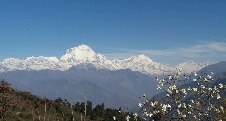 Nepal Cultural Tour - 4 Days - Alpine Club of Himalaya 7