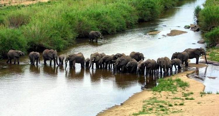 Circuit culturel du Ghana et de l'Afrique du Sud, 12 jours - Continent Tours 8