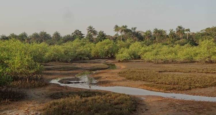 Guinea Bissau – Islands and Wildlife - Continent Tours 9