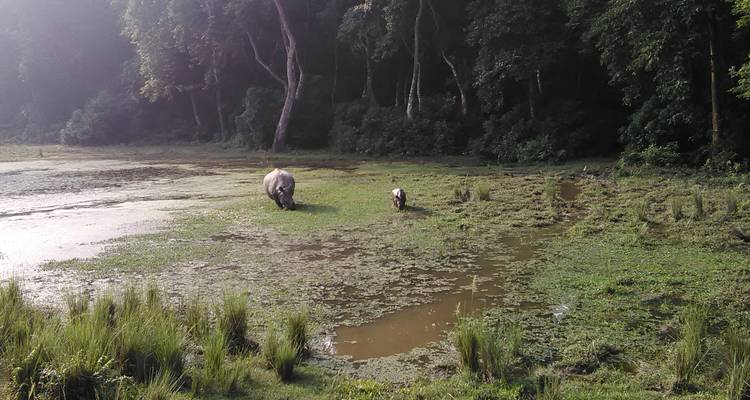 Safari à Chitwan - 3 nuits /4 jours - White Hill Adventure Treks and Expedition Pvt Ltd 3
