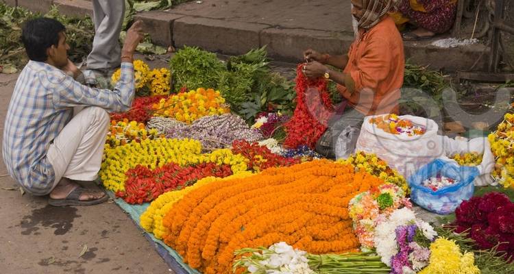 Private Kolkata Tour - Apollo Voyages 10