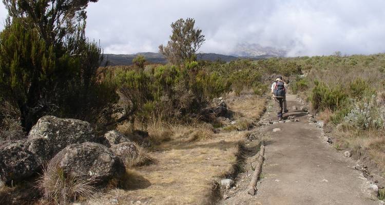 Kilimandjaro Short Hike 3 jours de Trek, 5 jours de voyage - Nomadic Adventures 4