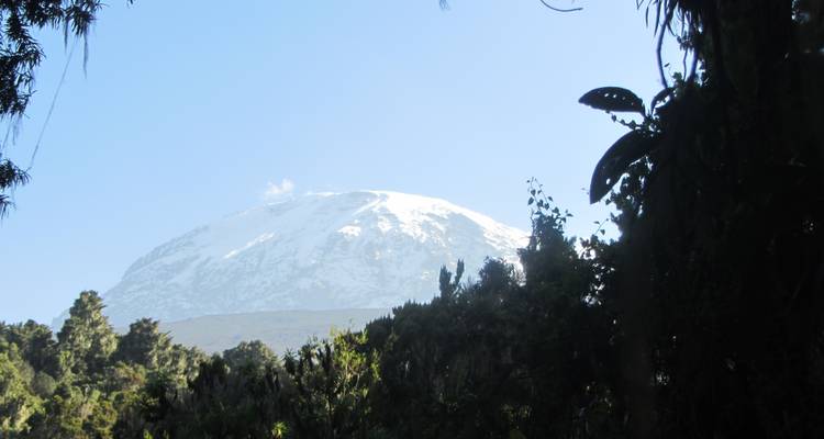 Kilimandjaro courte Trek de 2 jours : Circuit de 4 jours - Nomadic Adventures 6