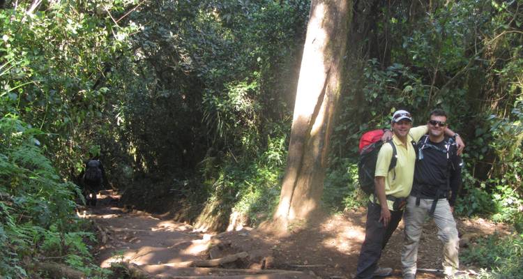 Kilimandjaro courte Trek de 2 jours : Circuit de 4 jours - Nomadic Adventures 8