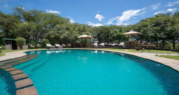 3 jours de safari dans le Masai Mara - Inscription de groupe - Samson's Safaris 10