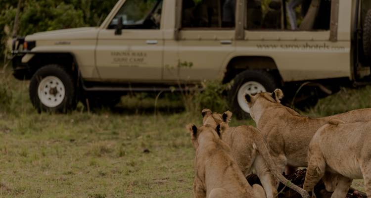 Safari de 4 días a Nairobi y Maasai Mara - Samson's Safaris 3