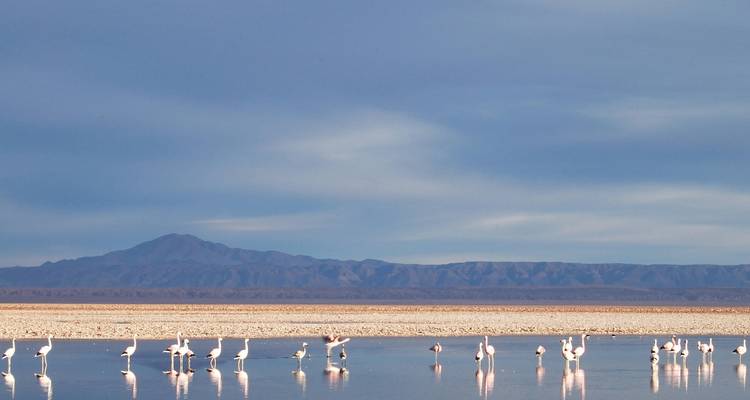 8 - Jours Expérience unique à San Pedro de Atacama et sur l'île de Pâques - Rapa Nui - Signature DMC 9