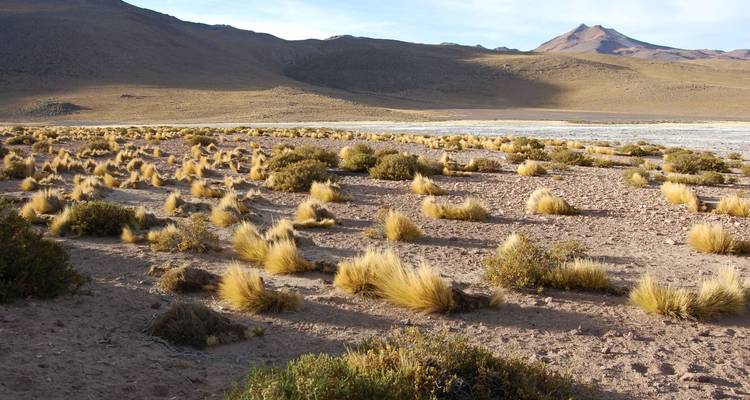 8 - Jours Expérience unique à San Pedro de Atacama et sur l'île de Pâques - Rapa Nui - Signature DMC 8