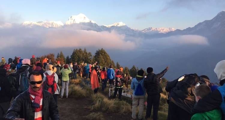 Camp de base de l'Annapurna - 9 jours - Alpine Club of Himalaya 8