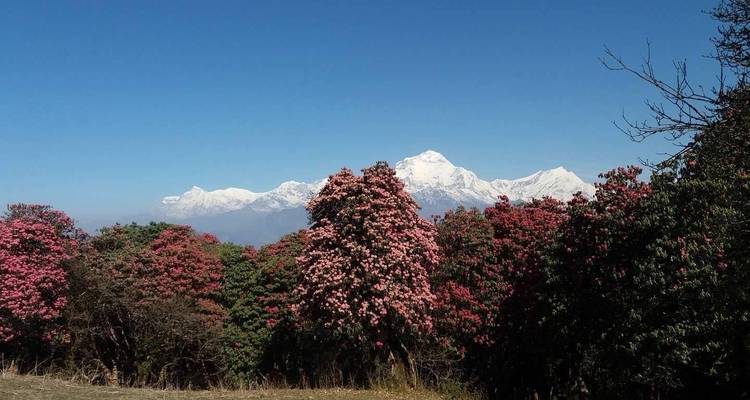 Ruta del patrimonio de Tamang - 7 días - Alpine Club of Himalaya 6