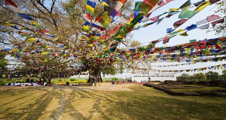 Circuito turístico por Lumbini - 3 días - Alpine Club of Himalaya 2