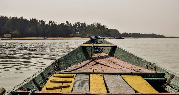 A boat heading towards a shore with trees in the background.