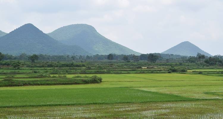 Lush green fields with mountains in the background.