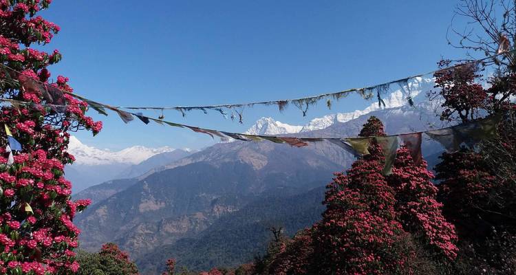 Berglandschaft mit Gebetsfahnen und blühenden Rhododendren.