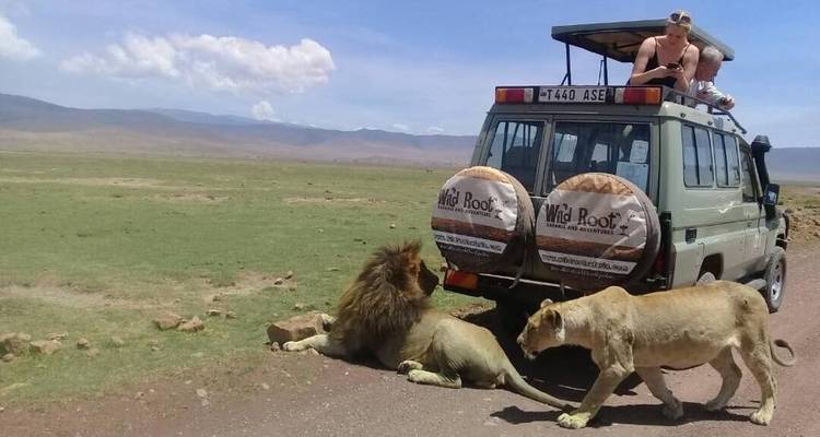 5 Days Tanzania big Five Safari - Wild Root Safaris & Adventures 3