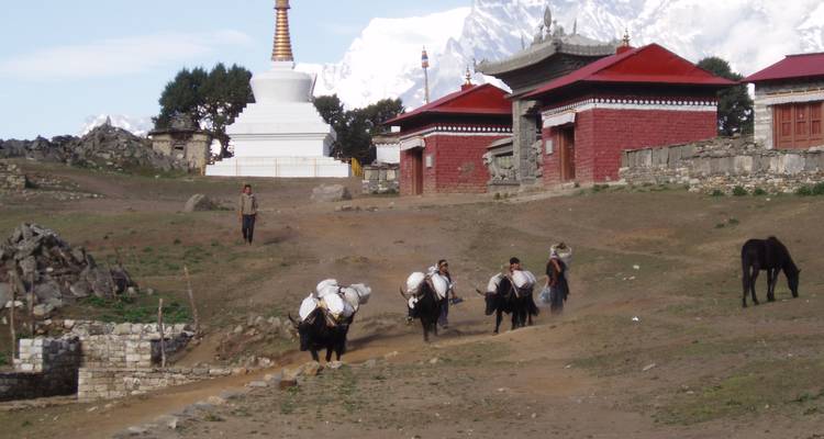 Excursión al campamento base del Everest - Opciones privadas disponibles - Nomadic Adventures 9