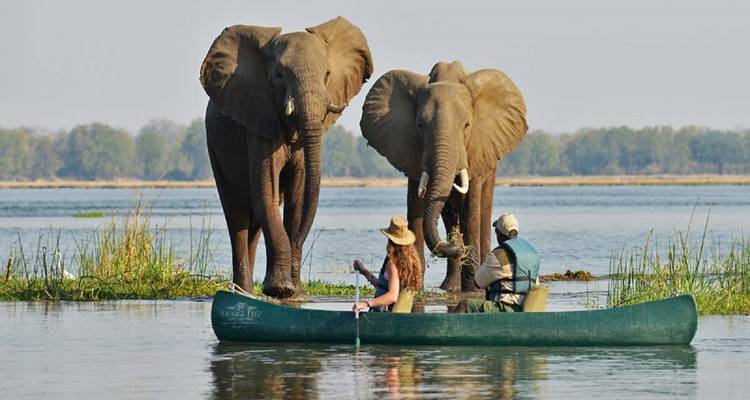 10 días explorando las maravillas de Zambia - Little Roz Tours 10