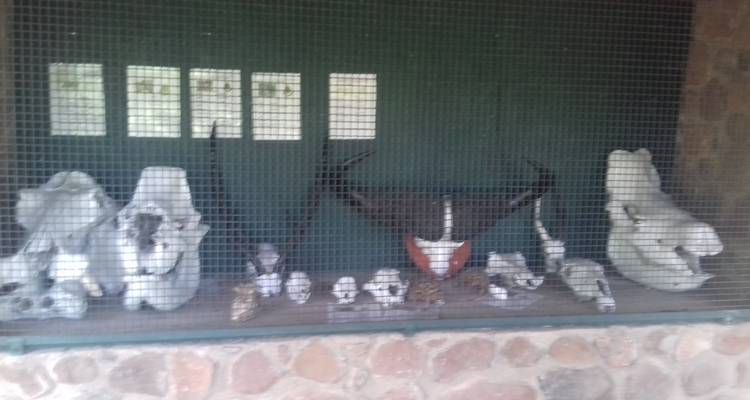 10 días explorando las maravillas de Zambia - Little Roz Tours 7