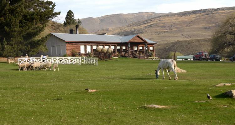 8 jours de Premium Discovery Ushuaia & El Calafate au départ de Buenos Aires - Signature DMC 9