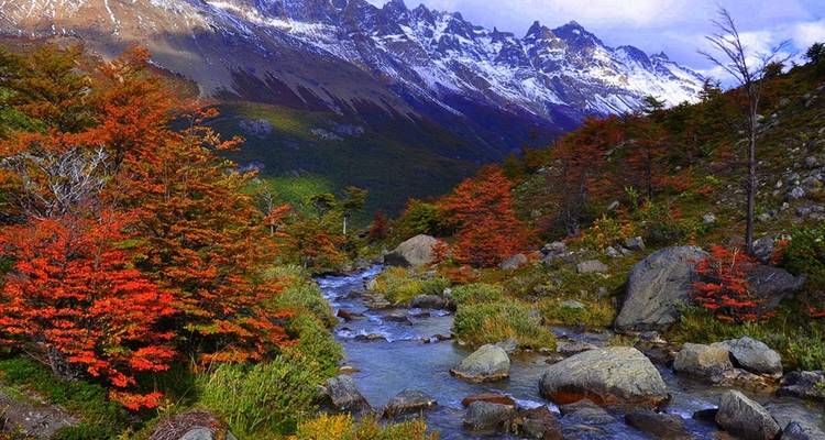8 - Days Premium Discovery @ El Chaltén & El Calafate Argentina with meals included - Signature DMC 7