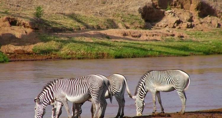 Kenya Prime Safari - Holiday Destination Safaris 1