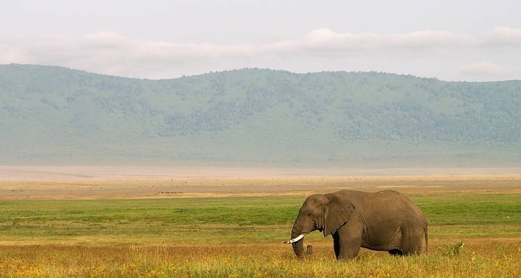 Expedition Safari of Northern Tanzania - Holiday Destination Safaris 7