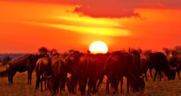 Expedition Safari of Northern Tanzania - Holiday Destination Safaris 4