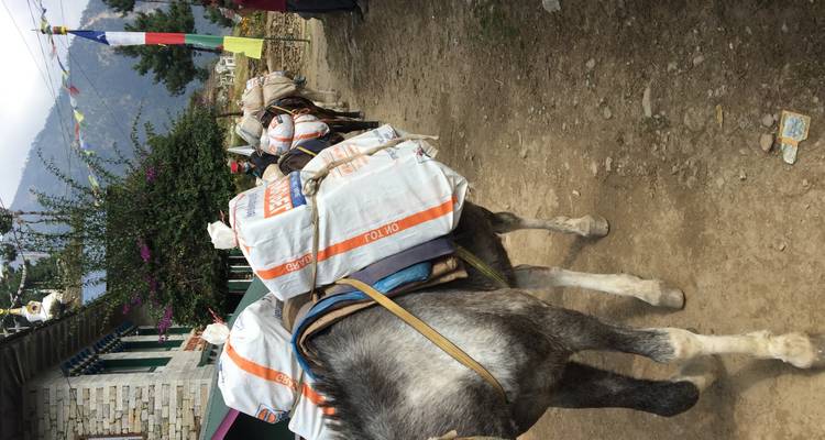 Classic Jiri to Everest Base Camp Trek-19 Days - White Hill Adventure Treks and Expedition Pvt Ltd 7