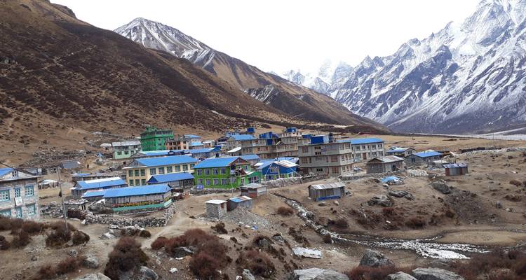 Langtang valley trek - Gokyo Treks and Expedition Pvt Ltd 6