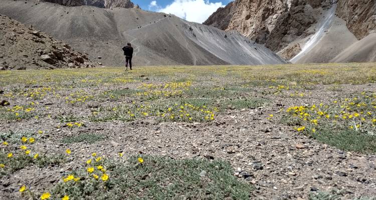 16 Days Shimshal Gujrab Boisam Pass 5050m & Chafchingol Pass 5150m Trek - Rock Valley Tours Pvt Ltd 10